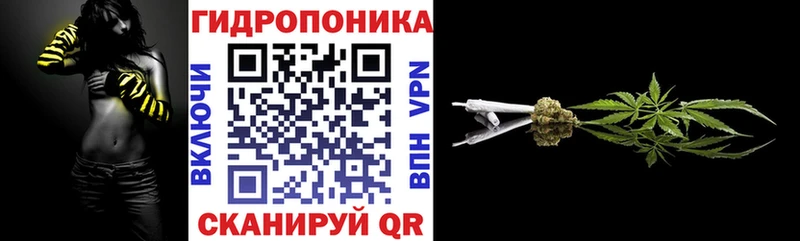МАРИХУАНА Amnesia  Купить закладки  Камышлов 